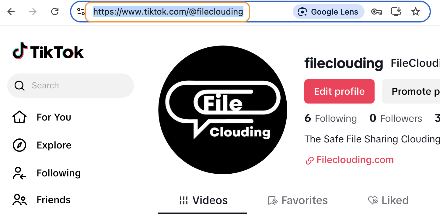 TikTok page url